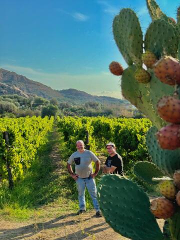 Tenuta Marchesi