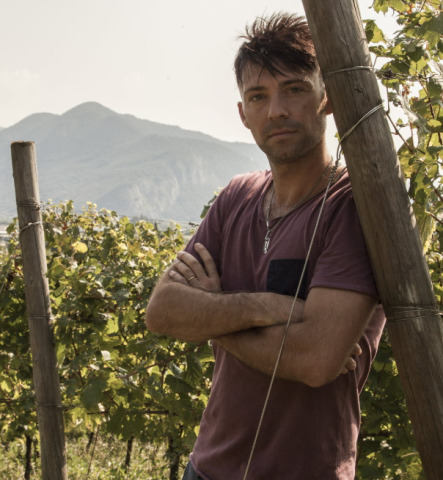 Barricaia Tenuta Marchesi