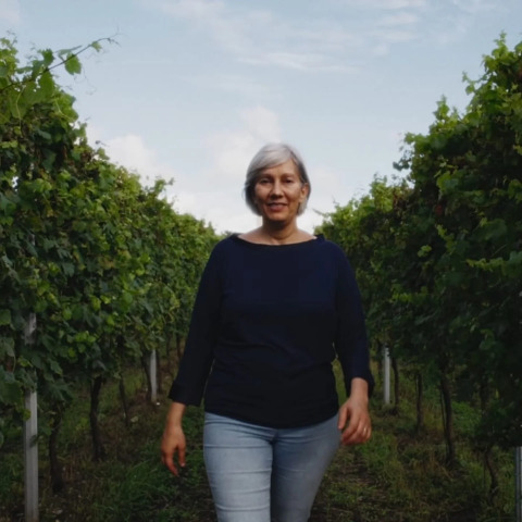 Tenuta Marchesi