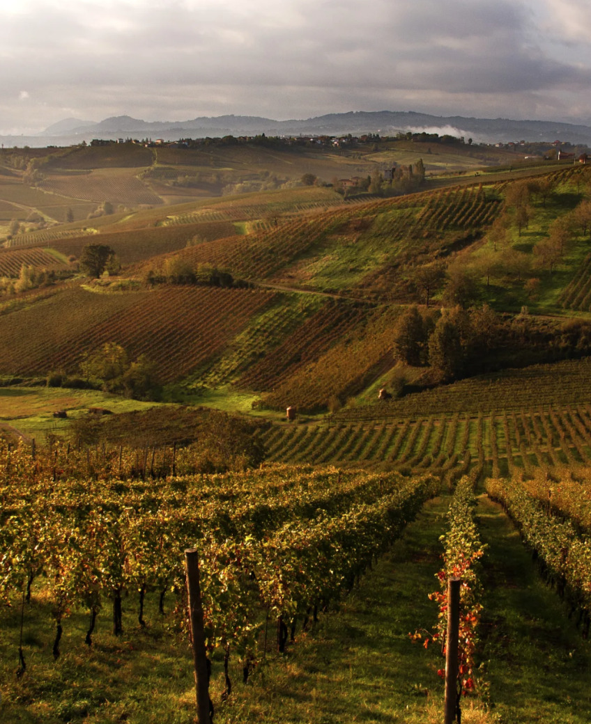 Podere Casale